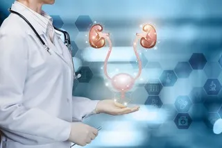 Urology.webp